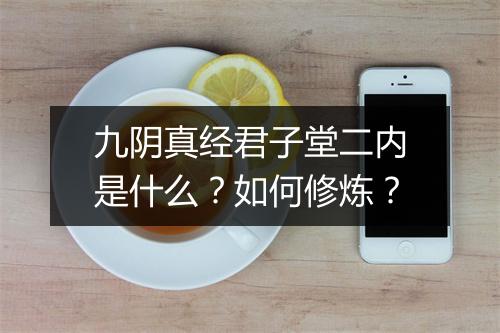 九阴真经君子堂二内是什么？如何修炼？