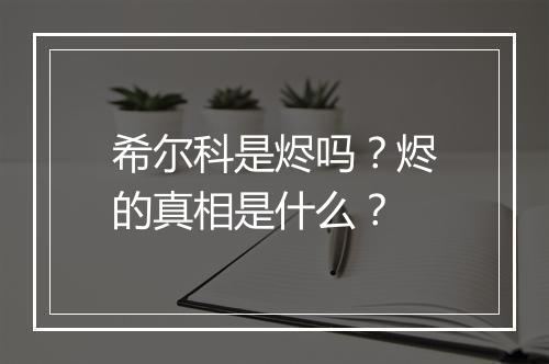 希尔科是烬吗？烬的真相是什么？