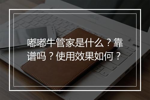 嘟嘟牛管家是什么？靠谱吗？使用效果如何？