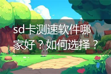 sd卡测速软件哪家好？如何选择？