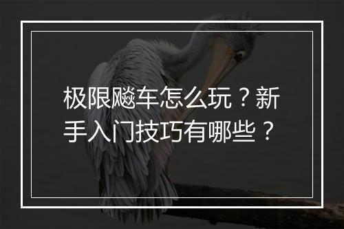极限飚车怎么玩？新手入门技巧有哪些？