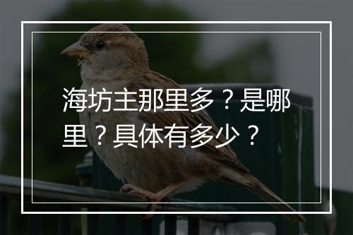 海坊主那里多？是哪里？具体有多少？