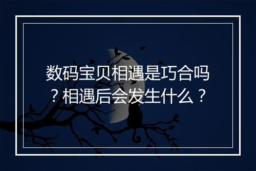 数码宝贝相遇是巧合吗？相遇后会发生什么？