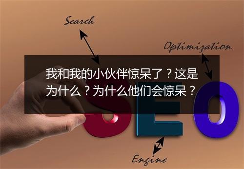 我和我的小伙伴惊呆了？这是为什么？为什么他们会惊呆？