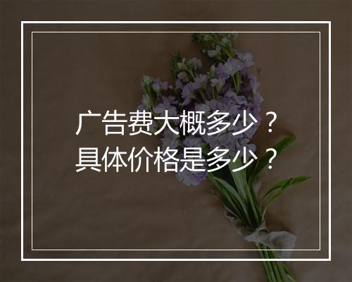 广告费大概多少？具体价格是多少？