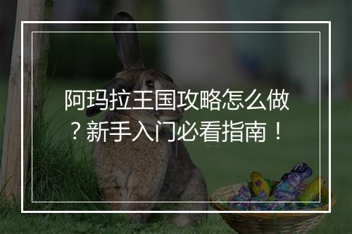 阿玛拉王国攻略怎么做？新手入门必看指南！