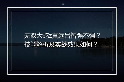 无双大蛇z真远吕智强不强？技能解析及实战效果如何？