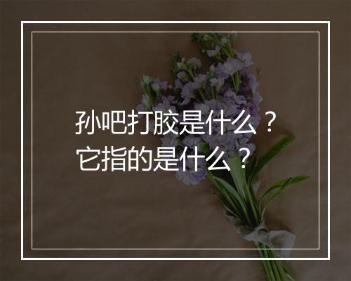 孙吧打胶是什么？它指的是什么？