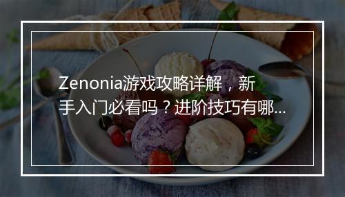 Zenonia游戏攻略详解，新手入门必看吗？进阶技巧有哪些？