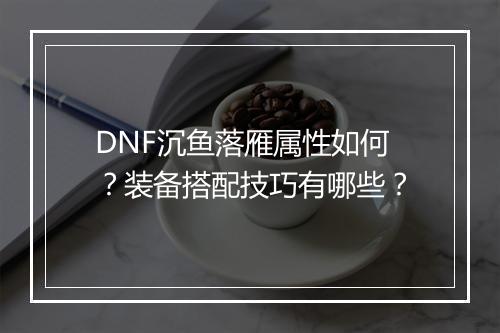 DNF沉鱼落雁属性如何？装备搭配技巧有哪些？