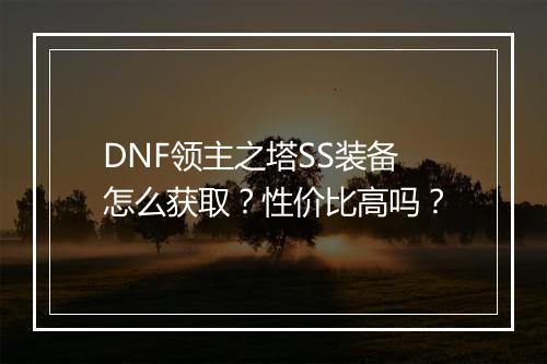DNF领主之塔SS装备怎么获取？性价比高吗？
