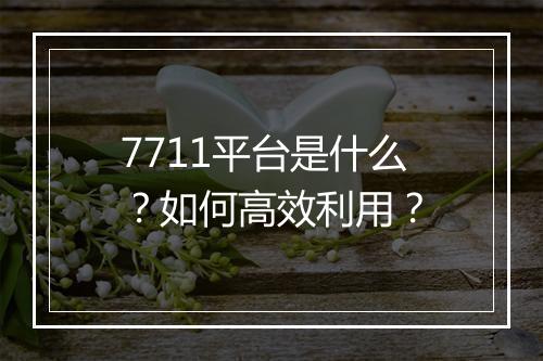 7711平台是什么？如何高效利用？