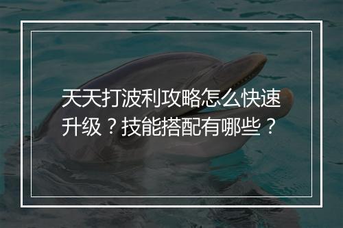 天天打波利攻略怎么快速升级？技能搭配有哪些？