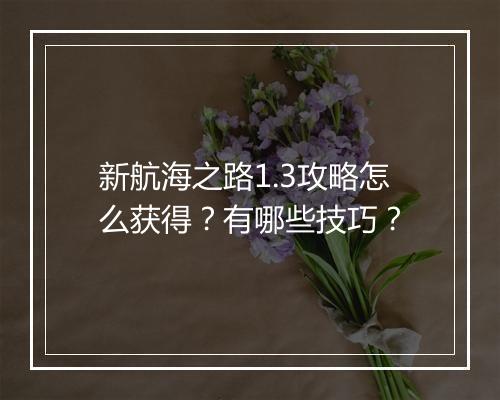 新航海之路1.3攻略怎么获得？有哪些技巧？