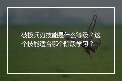 破极兵刃技能是什么等级？这个技能适合哪个阶段学习？