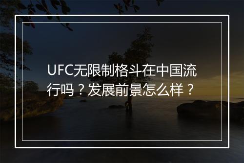 UFC无限制格斗在中国流行吗？发展前景怎么样？