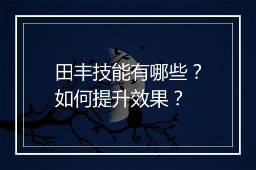田丰技能有哪些？如何提升效果？