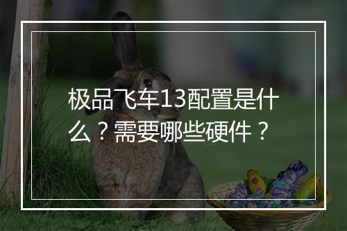 极品飞车13配置是什么？需要哪些硬件？