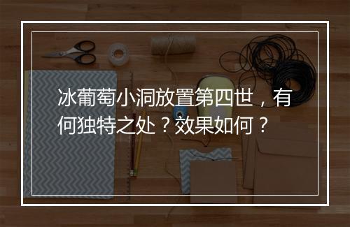 冰葡萄小洞放置第四世，有何独特之处？效果如何？