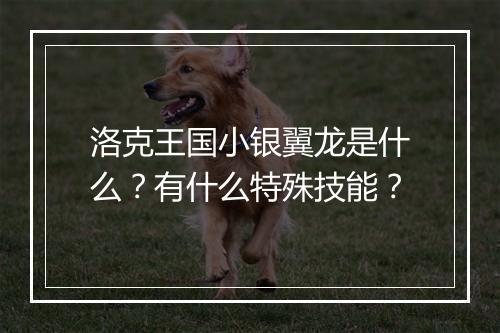 洛克王国小银翼龙是什么？有什么特殊技能？