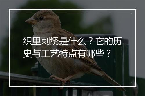 织里刺绣是什么？它的历史与工艺特点有哪些？