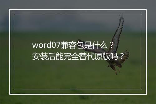 word07兼容包是什么？安装后能完全替代原版吗？