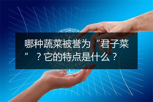 哪种蔬菜被誉为“君子菜”？它的特点是什么？