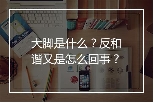 大脚是什么？反和谐又是怎么回事？