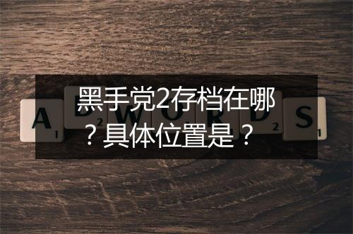 黑手党2存档在哪？具体位置是？