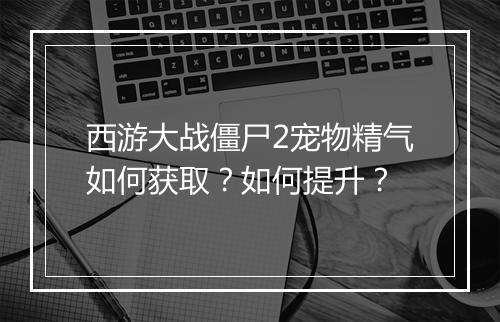 西游大战僵尸2宠物精气如何获取？如何提升？