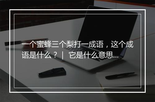 一个蜜蜂三个梨打一成语，这个成语是什么？｜ 它是什么意思？