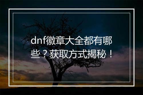 dnf徽章大全都有哪些？获取方式揭秘！