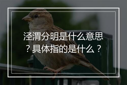 泾渭分明是什么意思？具体指的是什么？
