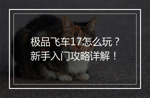 极品飞车17怎么玩？新手入门攻略详解！