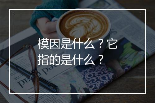 模因是什么？它指的是什么？