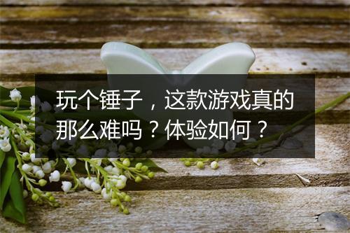 玩个锤子，这款游戏真的那么难吗？体验如何？