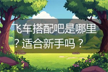 飞车搭配吧是哪里？适合新手吗？