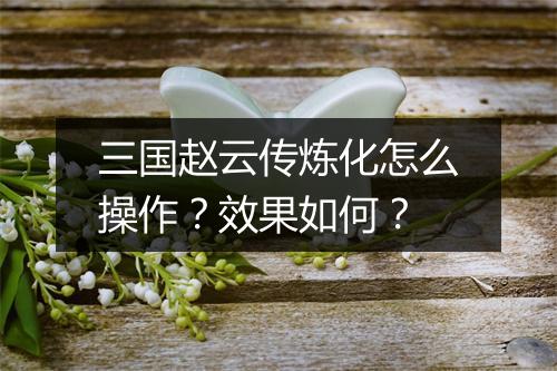 三国赵云传炼化怎么操作？效果如何？