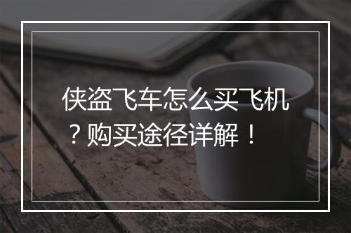 侠盗飞车怎么买飞机？购买途径详解！