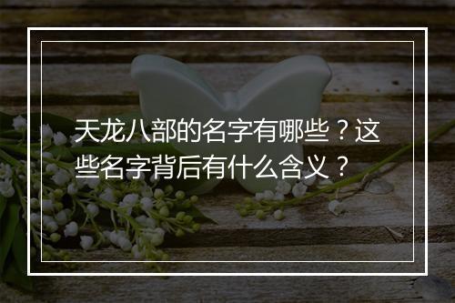 天龙八部的名字有哪些？这些名字背后有什么含义？