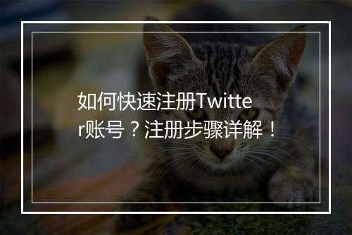 如何快速注册Twitter账号？注册步骤详解！