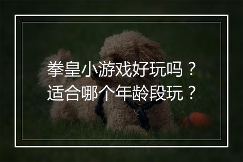 拳皇小游戏好玩吗？适合哪个年龄段玩？