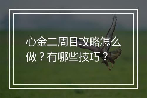 心金二周目攻略怎么做？有哪些技巧？