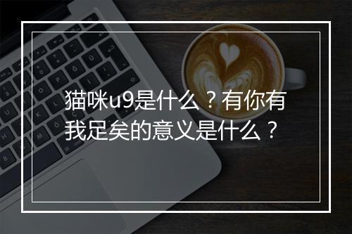 猫咪u9是什么？有你有我足矣的意义是什么？