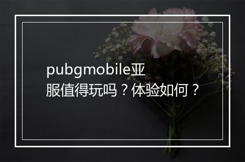 pubgmobile亚服值得玩吗？体验如何？