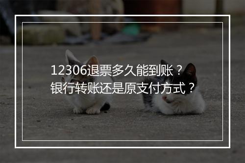 12306退票多久能到账？银行转账还是原支付方式？