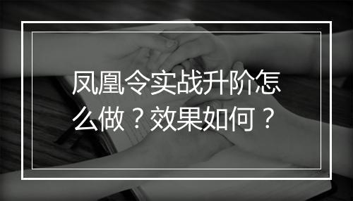 凤凰令实战升阶怎么做？效果如何？