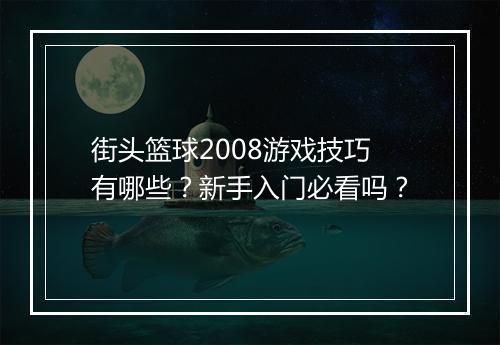 街头篮球2008游戏技巧有哪些？新手入门必看吗？