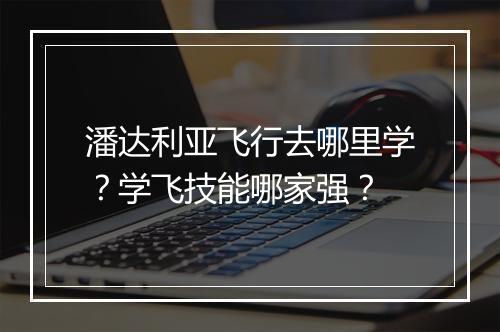潘达利亚飞行去哪里学？学飞技能哪家强？