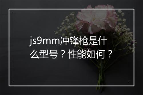 js9mm冲锋枪是什么型号？性能如何？